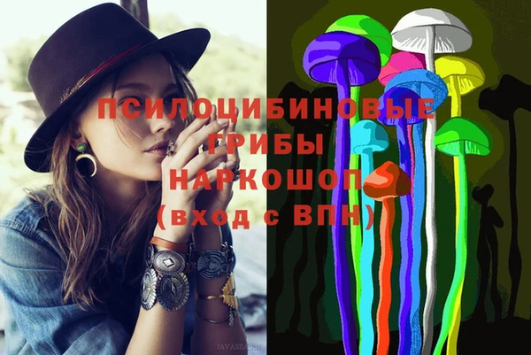 мяу мяу мука Ельня
