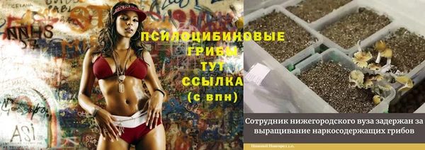 ALPHA-PVP Арсеньев